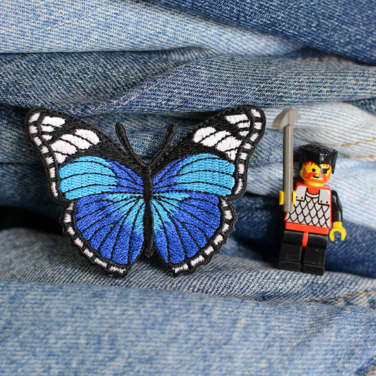 Blue Butterfly 0059